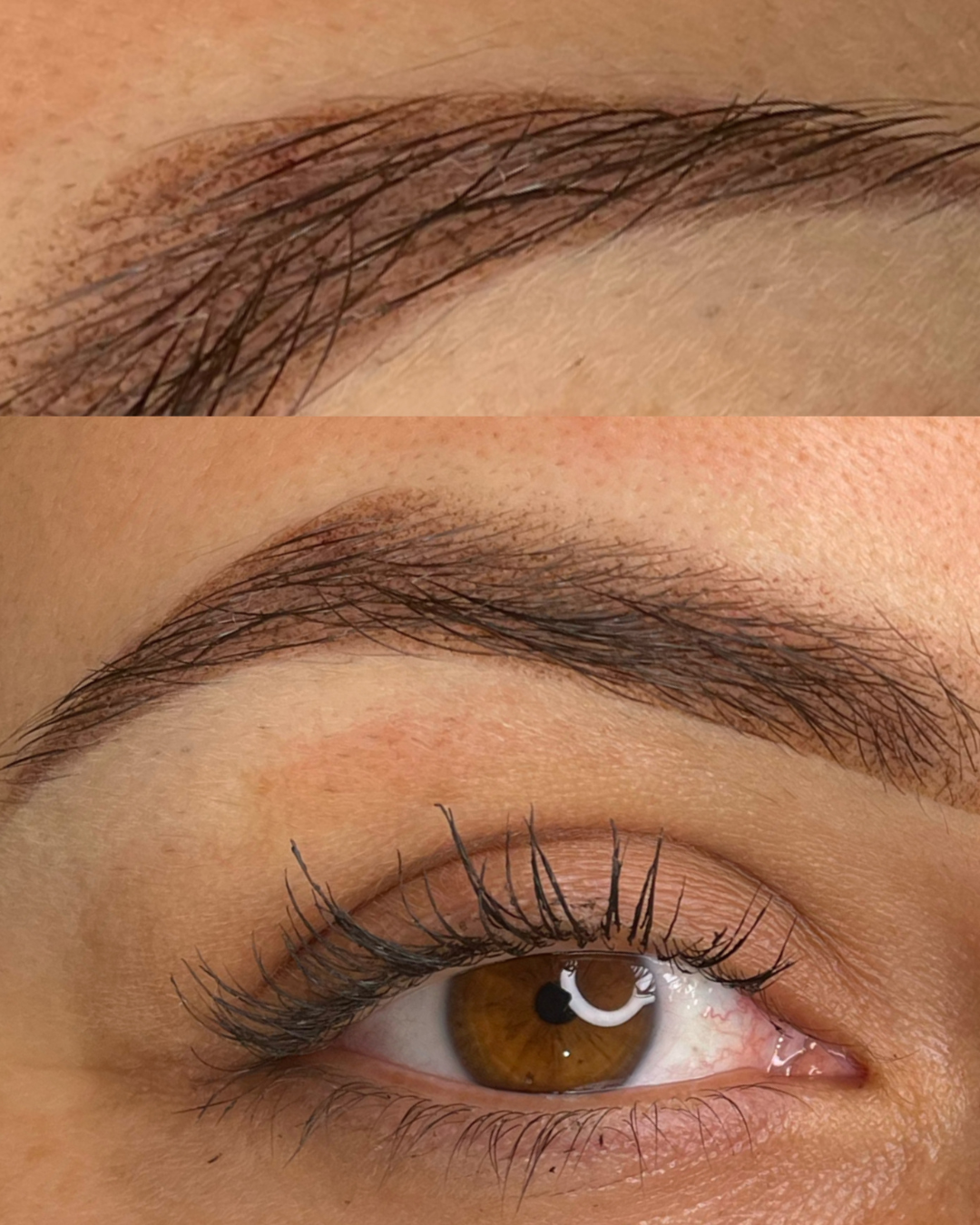 ✨Cejas Efecto Polvo